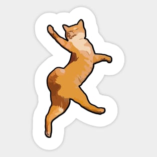 Funny cat Sticker